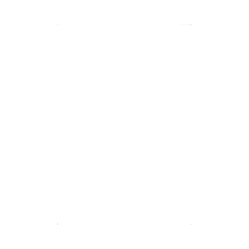 Embellished Crewneck T-Shirt