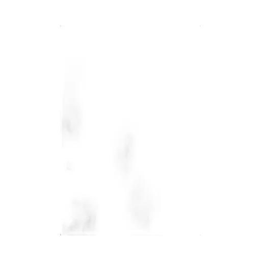 Embellished Crewneck T-Shirt