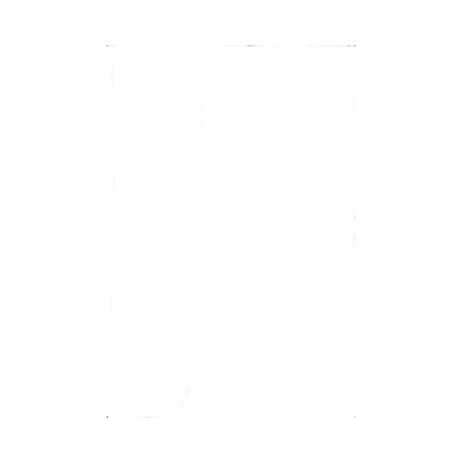 Pocket Detailed Cargo Shorts