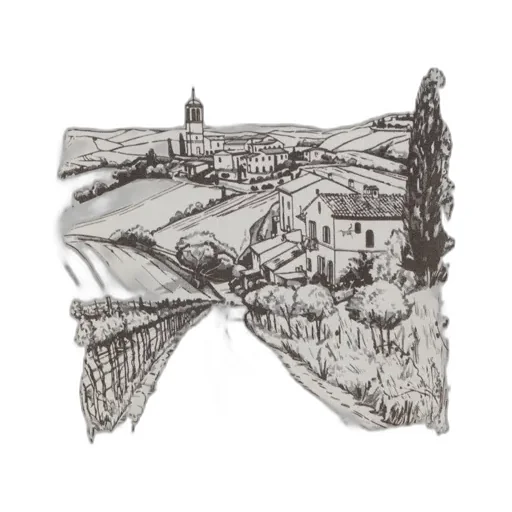 Graphic Printed Crewneck T-Shirt