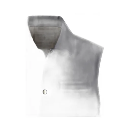 Padded Button-Up Gilet