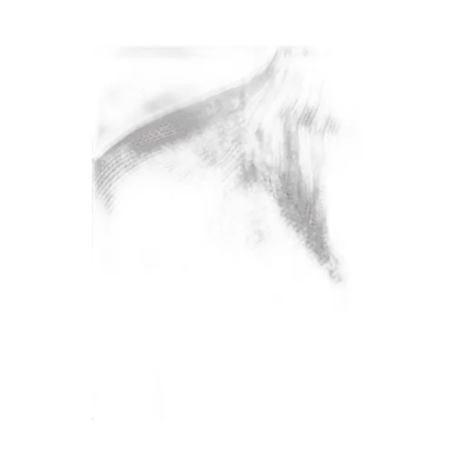 Zip-Up High Neck Jacket