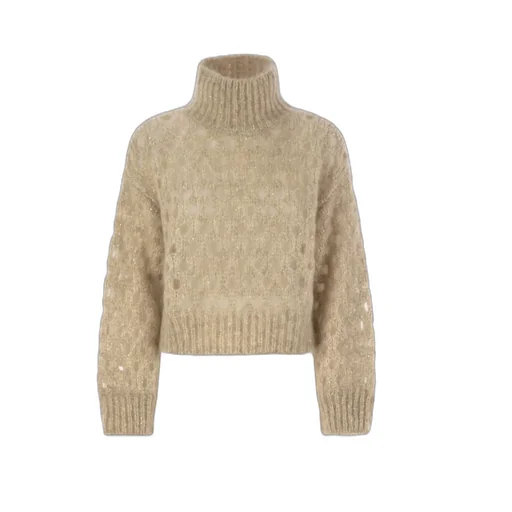 Dazzling Net Turtleneck Jumper