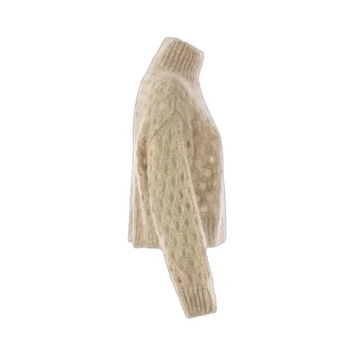 Dazzling Net Turtleneck Jumper