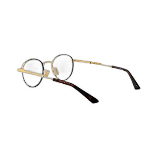 Round Frame Glasses