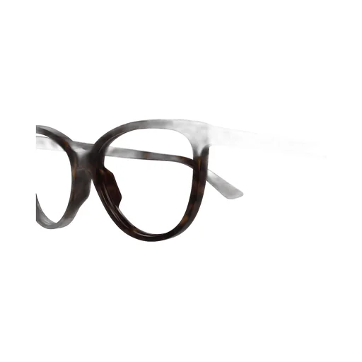 Oval Frame Glasses
