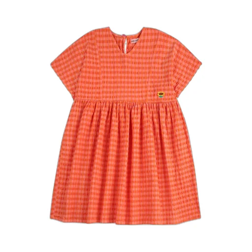 Vichy Dress