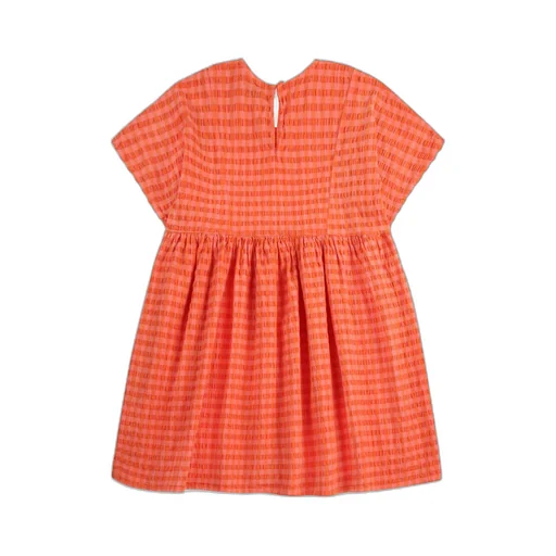 Vichy Dress