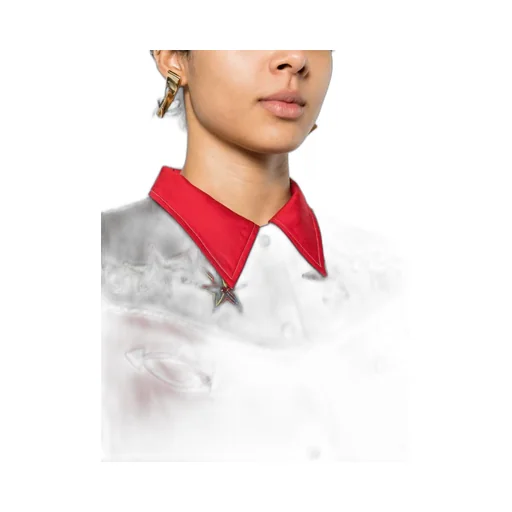 Long-Sleeved Shirt