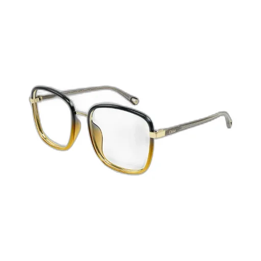 Square Frame Glasses