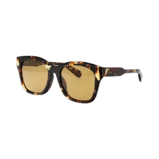 Square Frame Sunglasses