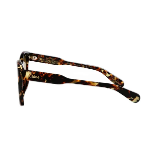 Square Frame Sunglasses