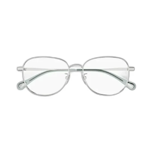 Round Frame Glasses