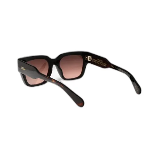Square Frame Sunglasses