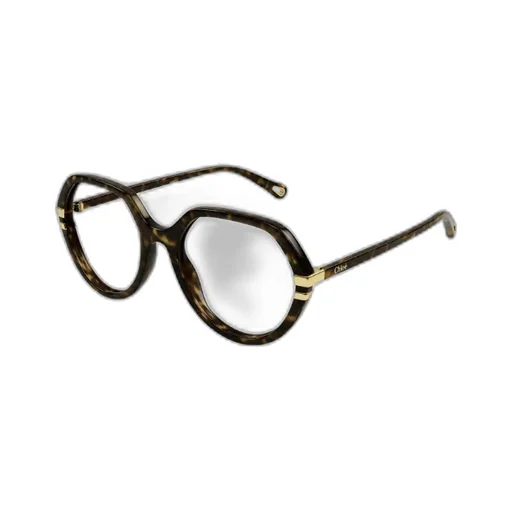 Round Frame Glasses