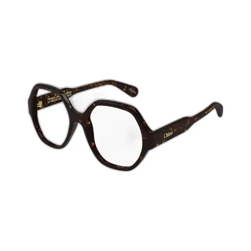 Geometric Frame Glasses