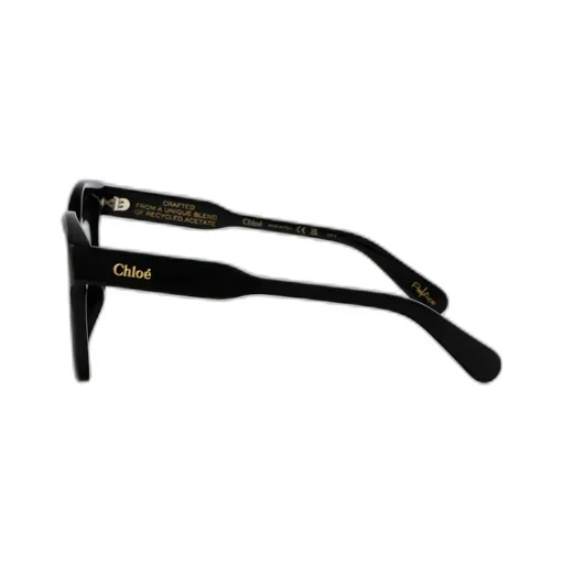 Square Frame Sunglasses