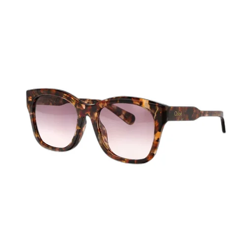 Square Frame Sunglasses