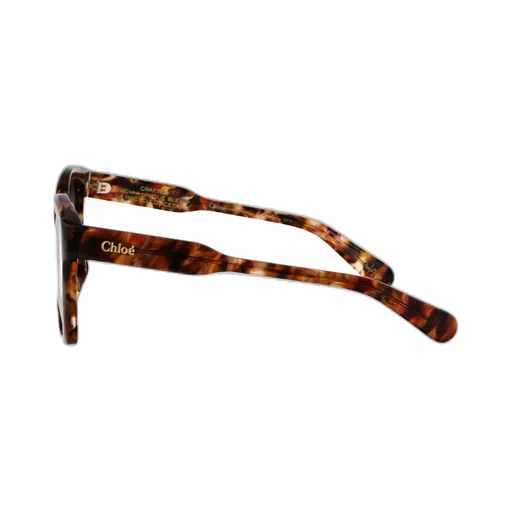 Square Frame Sunglasses
