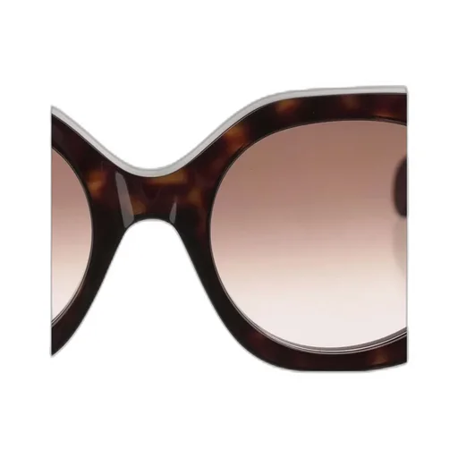 Round Frame Sunglasses