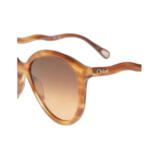 Square Round Framed Sunglasses