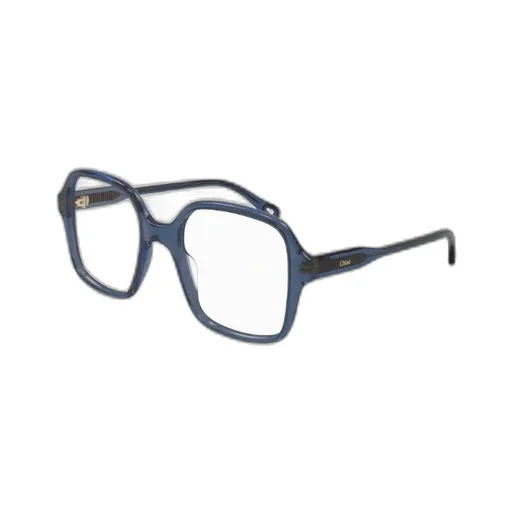Oversized Frame Glasses