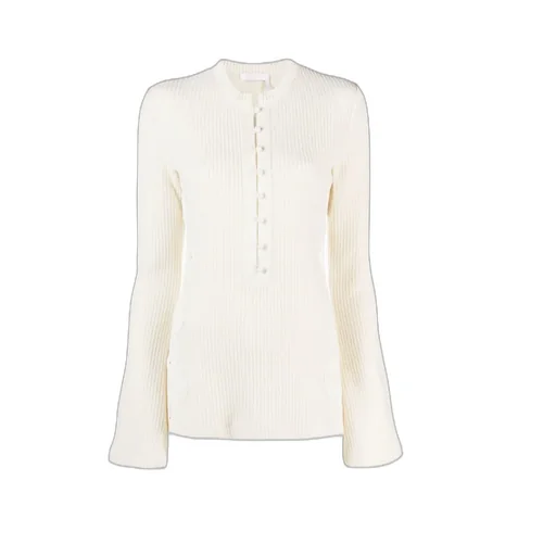 Flare Sleeved Knit Top