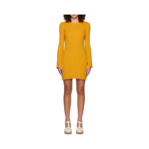 Flared Long-Sleeved Dress