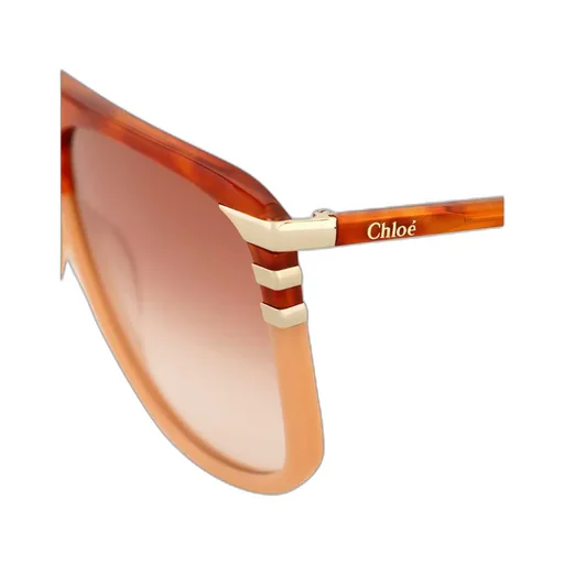 West Square Tinted Sunglasses