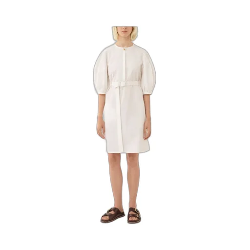 Belted Mid-Sleeved Midi Dress