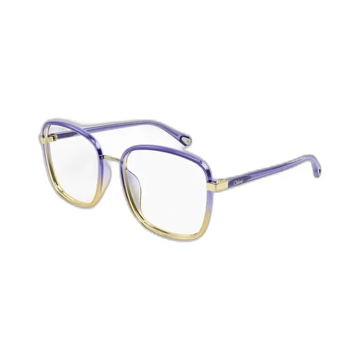 Square Frame Glasses