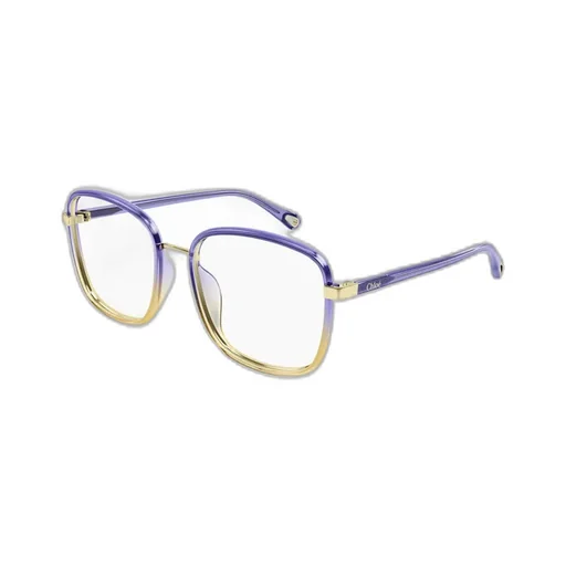 Square Frame Glasses
