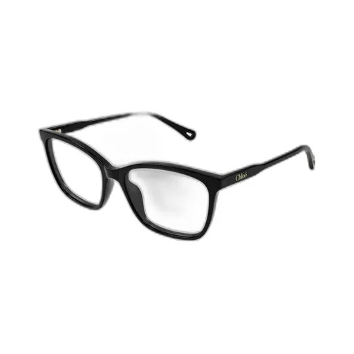 Square Frame Glasses