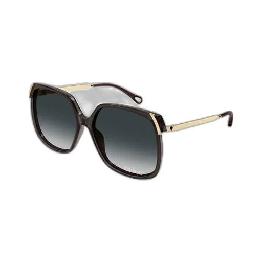 Oversized Frame Sunglasses