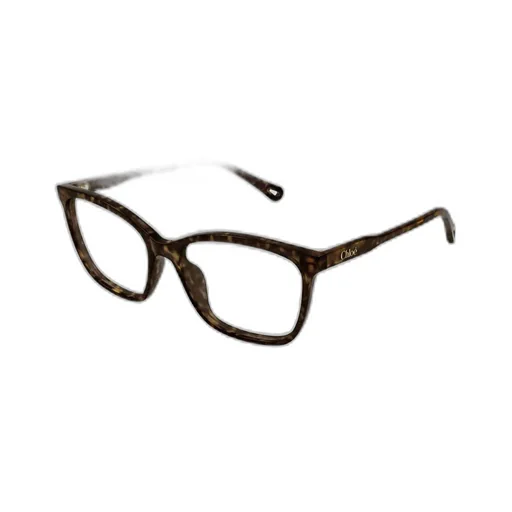 Square Frame Glasses