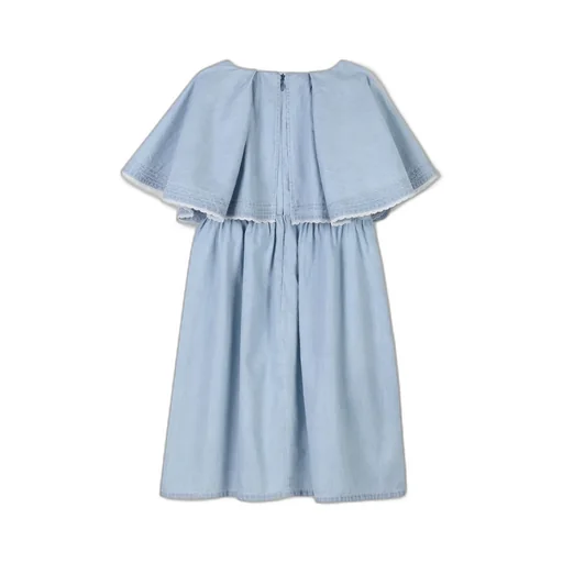 Pleated Design Dress