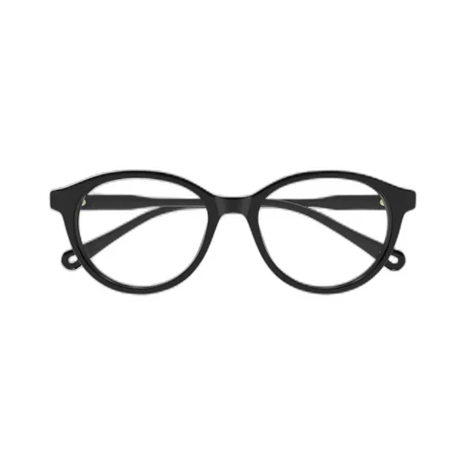 Round Frame Glasses