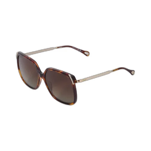 Oversized Frame Sunglasses