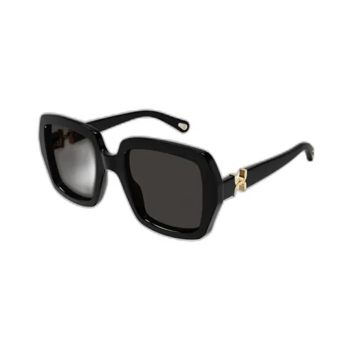 Square Frame Sunglasses