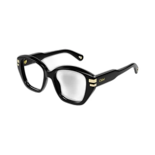 Square Frame Glasses