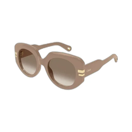 Oversized Frame Sunglasses