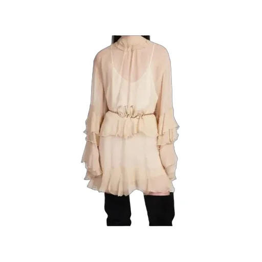 Semi-Sheer Ruched Dress