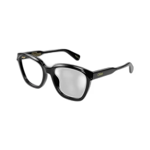 Square Frame Glasses