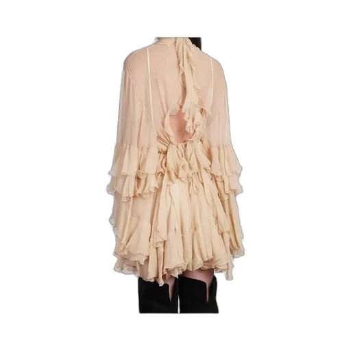 Semi-Sheer Ruched Dress