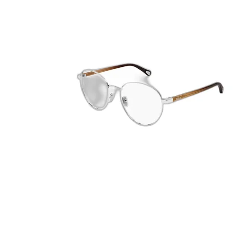 Round Frame Glasses