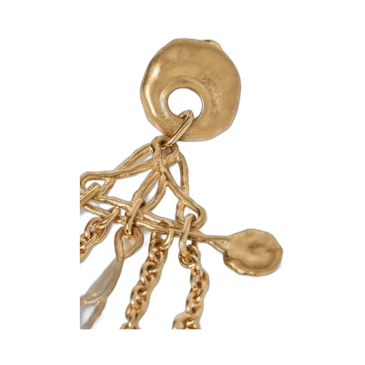 The Chloé Eclectic Earrings