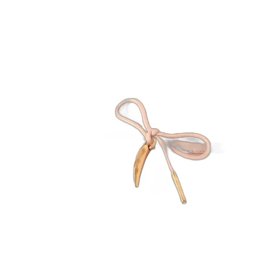 Iris Ballerina Shoes
