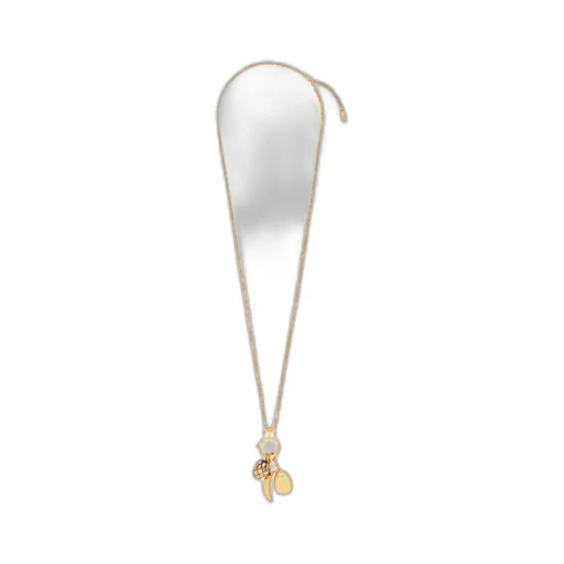 Charms Necklace
