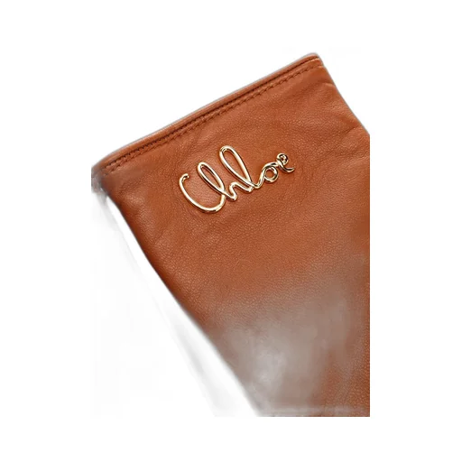 The Chloé Iconic Leather Gloves