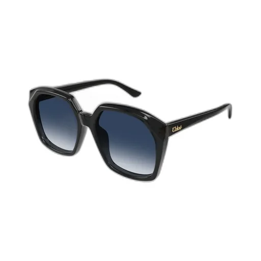 Salome Oversized Frame Sunglasses